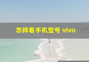 怎样看手机型号 vivo